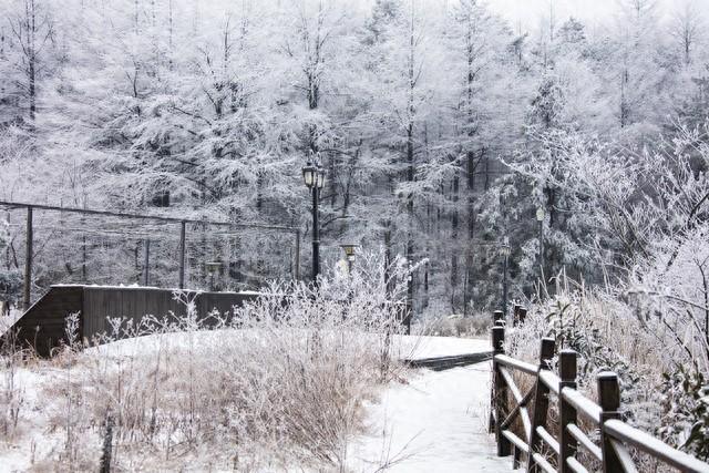 今日十月廿五，老话“十月廿五晴，遍地起坟头”，晴天有啥预兆？