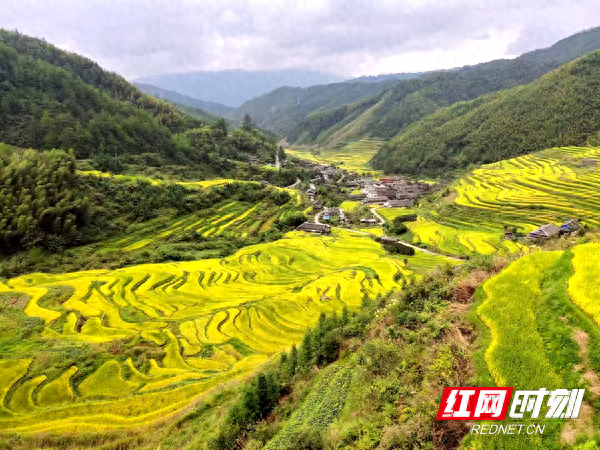 城步：八十里南山下 深藏着一座通往幸福的“天梯”