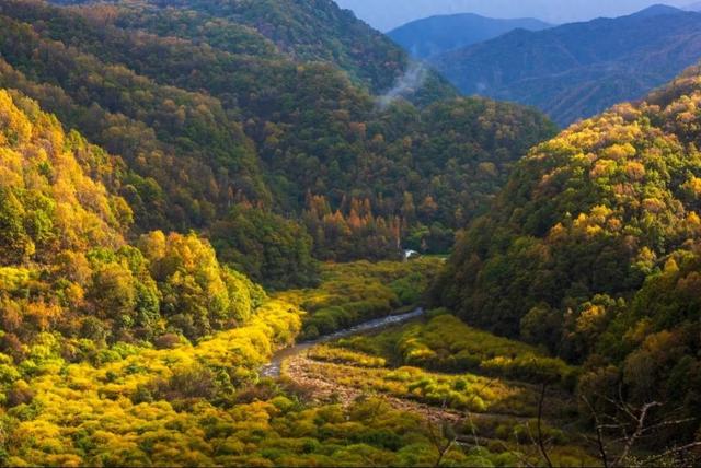 宁夏推出“乡村四时好风光”秋季主题线路 邀全国游客共赏塞上金秋