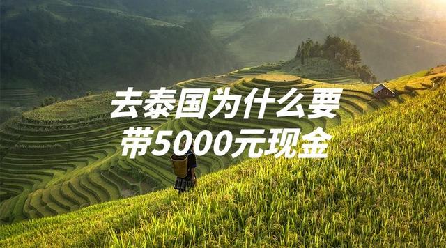 到泰国旅游必须带现金5000吗（去泰国为什么要带5000元现金真相大白）