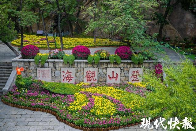 赏菊、运动、品文化！连云港海州四大景区打造国庆文旅盛宴