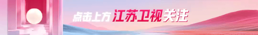 江苏卫视《探宝说创团》线下招募活动收官 四馆以文物之声讲述千年江苏魅力