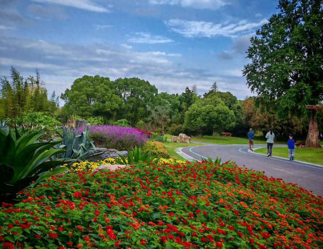 绿博园秋色斑斓