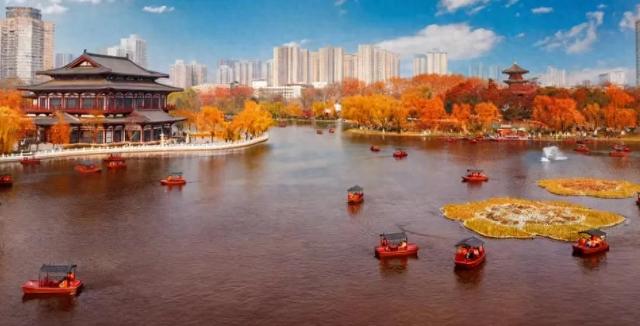 小雪|兴庆宫藏着温柔冬色