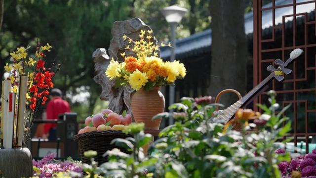 菊花展,开始! 菊花展,开始!