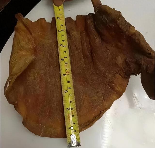 鱼胶大概什么价格 2026年鱼胶大概什么价格能买到