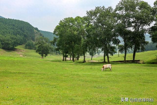冬日逃离人潮,避开人山人海,这5个小众旅行地，藏着反季旅游体验