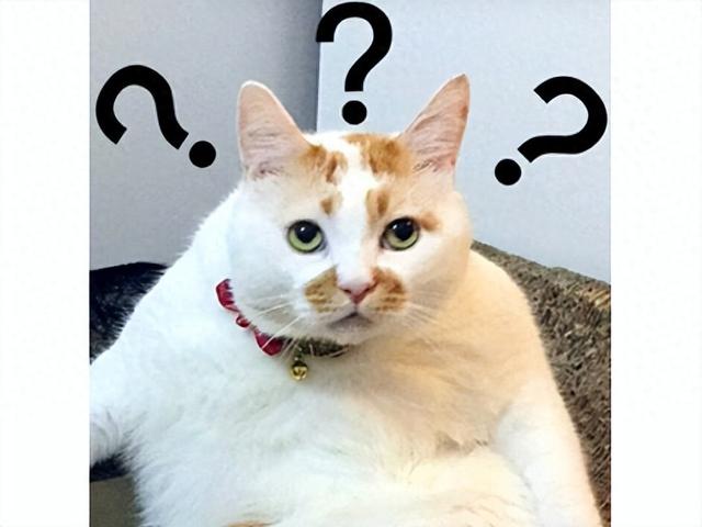 魔法守卫战版本（脸都不要了魔兽120再次吃书）