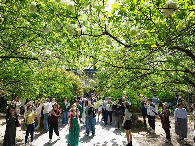 “最夯清明假期”收官：景区免票、民宿爆单，旅游市场淡季逆袭