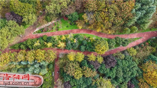 兴洛湖公园景如画