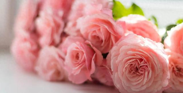 属猪要“笑醒”了，12月22日星期一，你将会遇见你最大的1位贵人