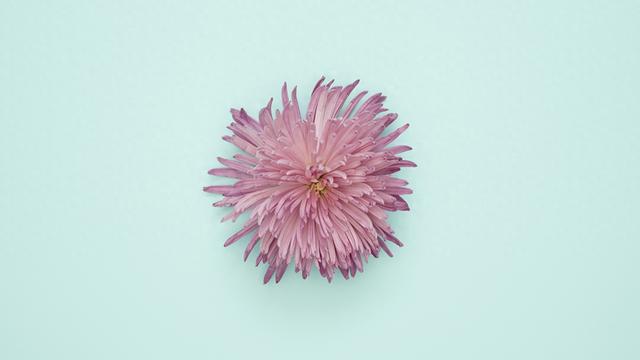 1月7日	，星期三，亥猪，即将有事发生