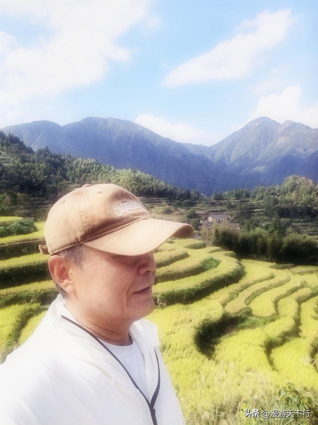浙江云和梯田稻秧金黄，美景带来惊险一幕，无人机失而复得
