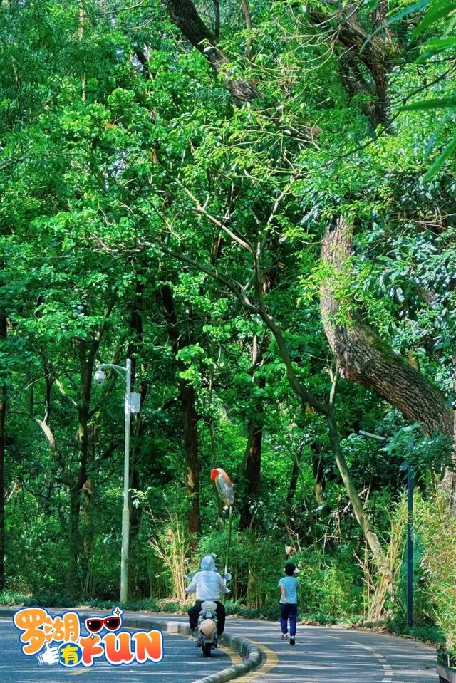 7公里黄金绿道！一天尽揽湖光山色