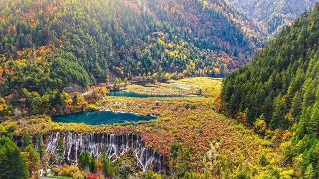 国庆假期没抢到九寨沟门票？别买黄牛票，还有这招可以用