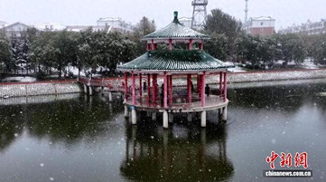 金黄满地变身银装素裹 边城呼玛迎今秋首雪