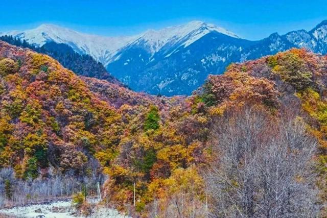 黄柏塬原生态风景区2025年冬季闭园公告