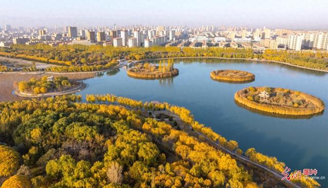 湿地焕彩 生态新景