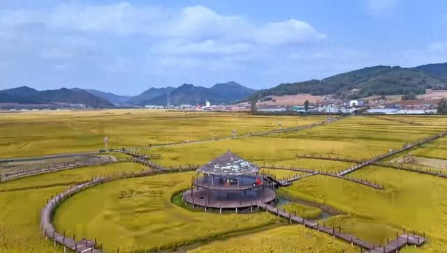稻浪翻金“丰”景盛 文旅融合迎客来
