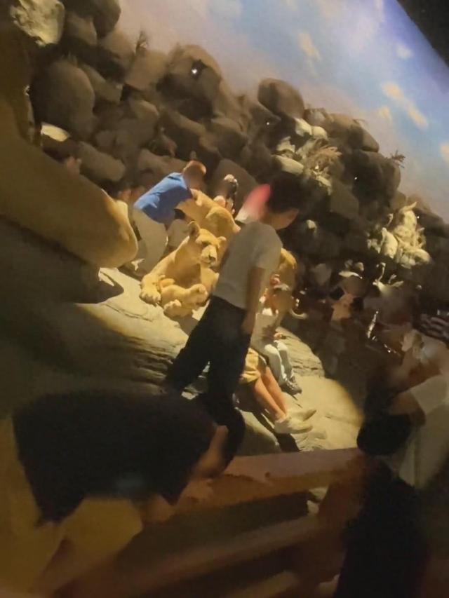 多名小孩越过上海自然博物馆围栏，进入展区触摸动物标本，馆方：已制止