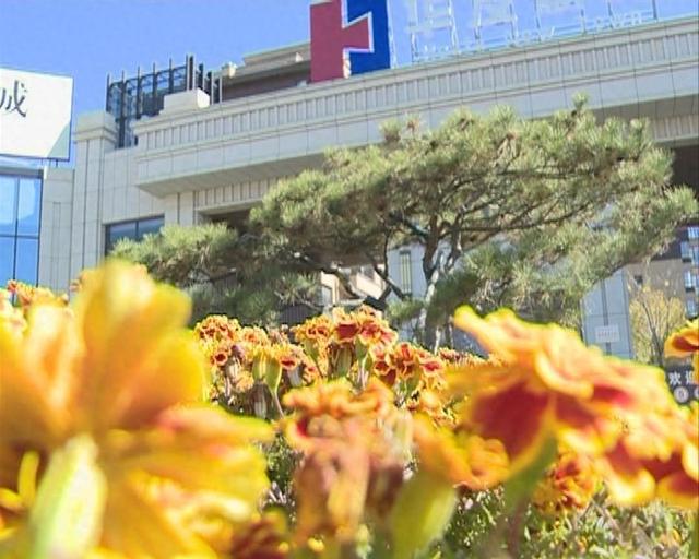 悠然家乡，蓝天白云，青山绿水，自然之美无处不在。请到大美盘山来（第657篇）