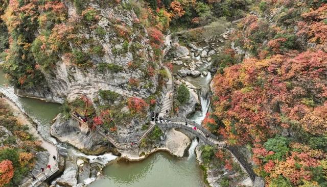 这才是秋天该有的样子~