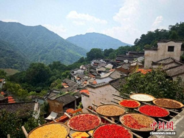 赣江观澜：“中国最美乡村”婺源篁岭何以蝶变？