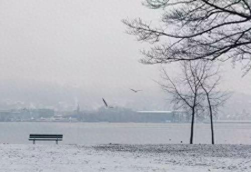 今年冬天冷吗？别信传言，国家气候中心给你交个底