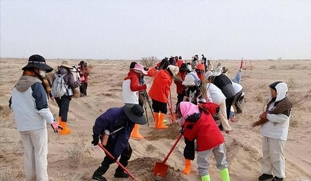 美国专家：这县城必成罗布泊！4万年轻姑娘不信邪，直接杀到沙漠
