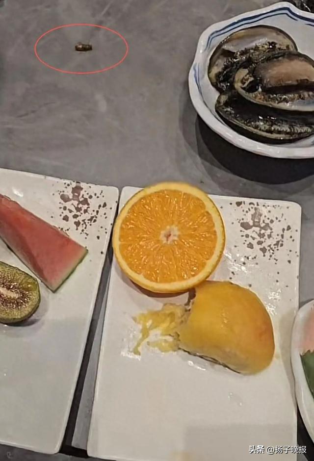 济南一女子称花4000元吃自助餐遇蟑螂，餐厅回应：发现蟑螂后继续用餐，吃完后要求退款，市场监管部门已介入