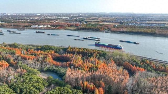 米市渡松南郊野公园秋色美如画