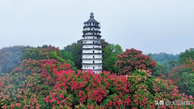 北山栾树挂“红灯” 秋分古韵添喜庆