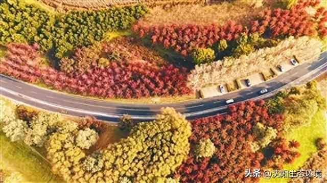 沈阳生态之美 | 层林尽染