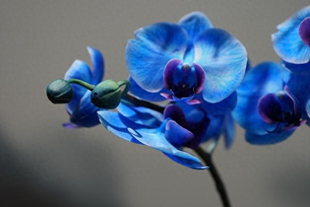 两性关系：为什么女人过了50岁，比年轻时更渴望这三种陪伴？