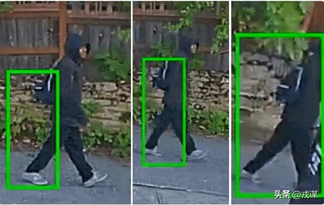 西雅图犯罪失控！老人被劫匪咬断手指，候选人竟然还想砍警费？