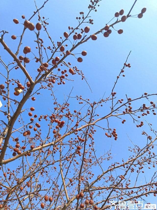 春天在哪里的歌词（春天在哪里）