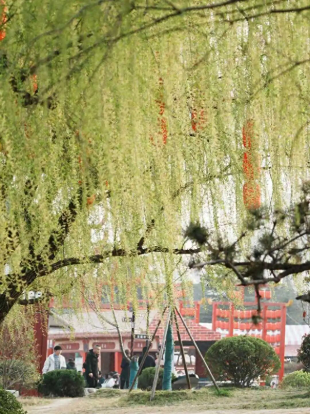 江苏徐州：“春假+清明”去哪里？这份“经开六小时”游玩攻略请收藏！