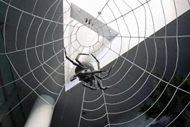 郑州新站seo排名（惊鸿SEO 蜘蛛池让新站快速出圈的 SEO 捷径 指南TGxinruanj）