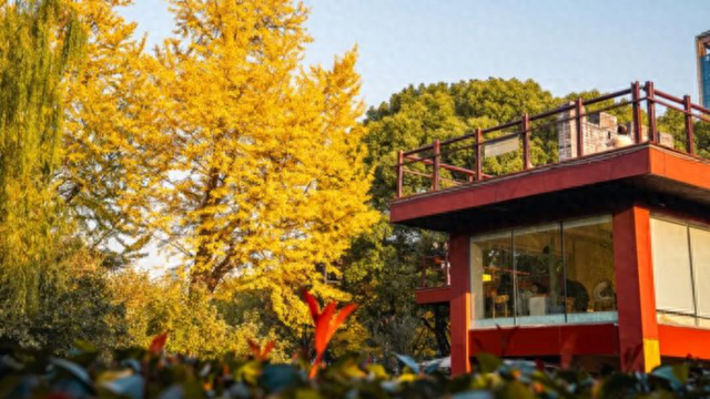 上海市中心又一公园拆除围墙！内藏明城墙和宝藏机位！怎么还有个“灶披间”？