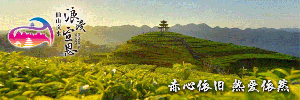 关于宣恩进一步规范暑期旅游市场经营公告