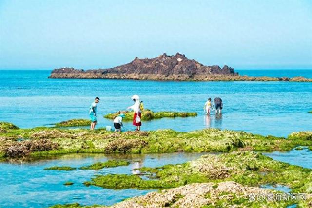 威海荣成那香海鸡鸣岛赶海项目上线：夏日亲子探海，大海馈赠触手可及