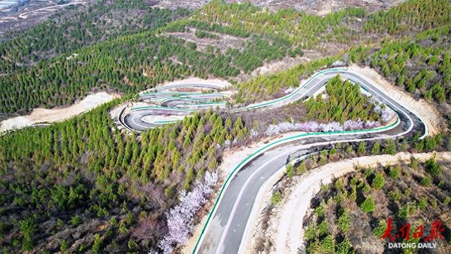 春日限定浪漫!灵丘北泉村藏着十里花海~