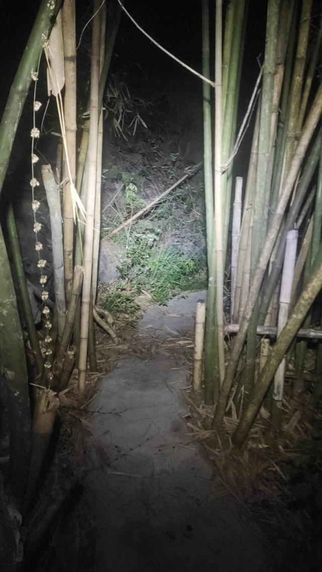 独自走在乡间大山里