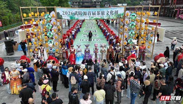 解锁湘味春天！张家界武陵源首届茶旅文化周嗨翻中外游客