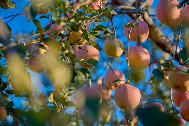 太全面了！8条游玩线路+京郊汤泉！带您玩转北京这里！（2）