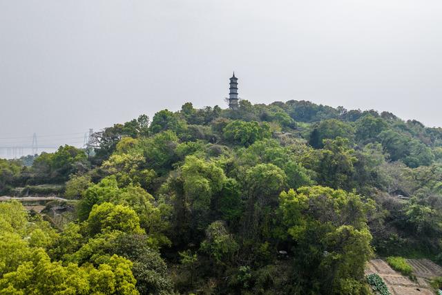 探秘“太和文峰”：六百余载椒江古塔，镌刻城市文脉华章