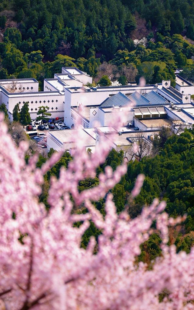 让客人住进春天里