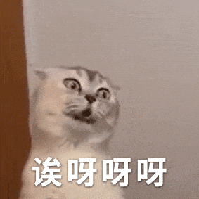 张某桃花运，实为桃花劫！