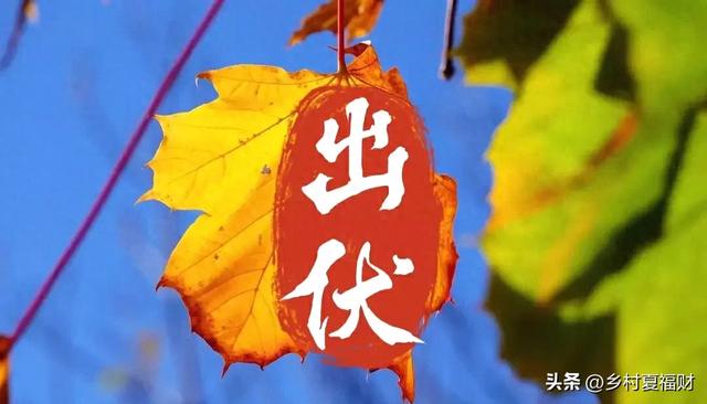 “不怕出伏晴,就怕出伏雨”,今日出伏，下雨有啥预兆？还要热多久