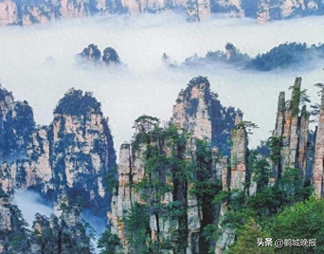 张家界咋成这样了？俩菜宰 844 元，四家店三个鬼秤！游客：再也不来了